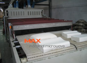 Latex Products Microwave Dryer
